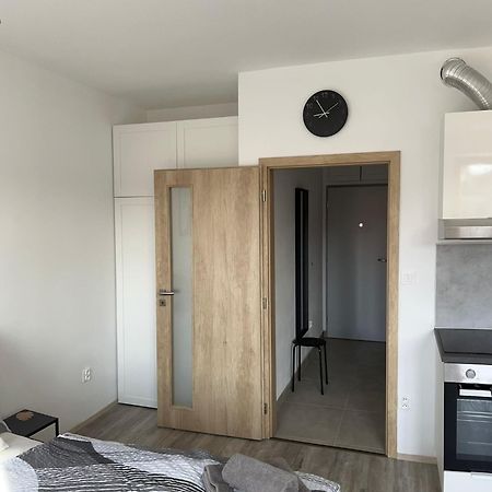 Apartman U Tedyho Διαμέρισμα Kasperske Hory Εξωτερικό φωτογραφία